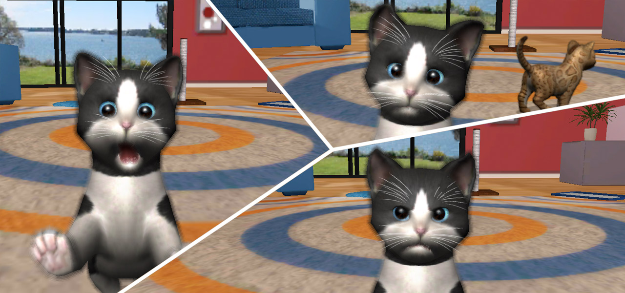 Daily Kitten: virtual cat pet
