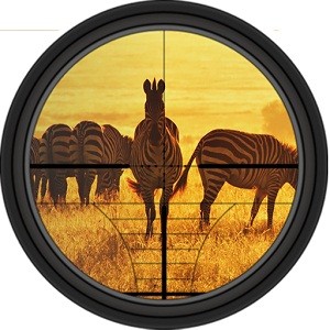 Animal Hunting – Africa