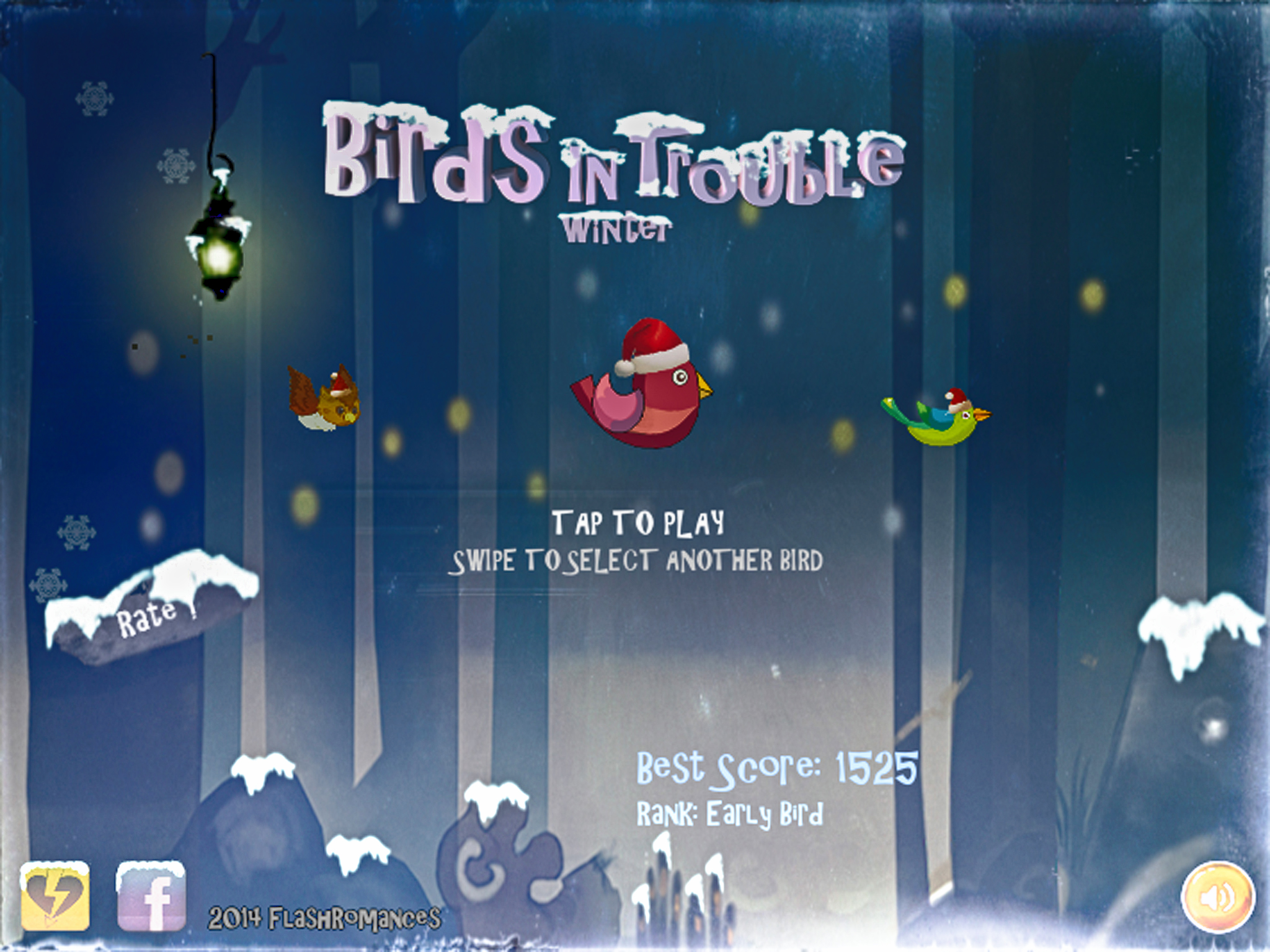 Birds In Trouble Winter