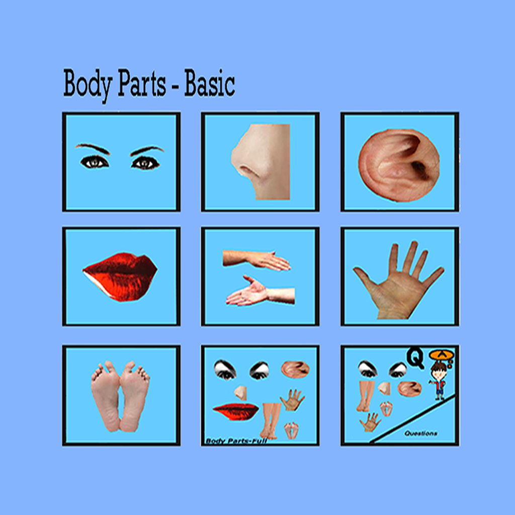 Body Parts – Internal and External