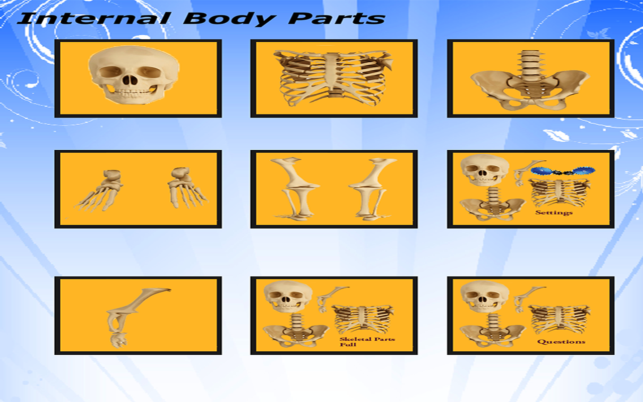 Body Parts – Internal and External