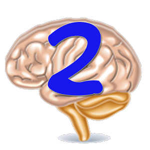 Brain Games – Brain Teaser 2