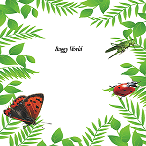 Buggy World