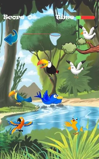 Capture the birds for kids