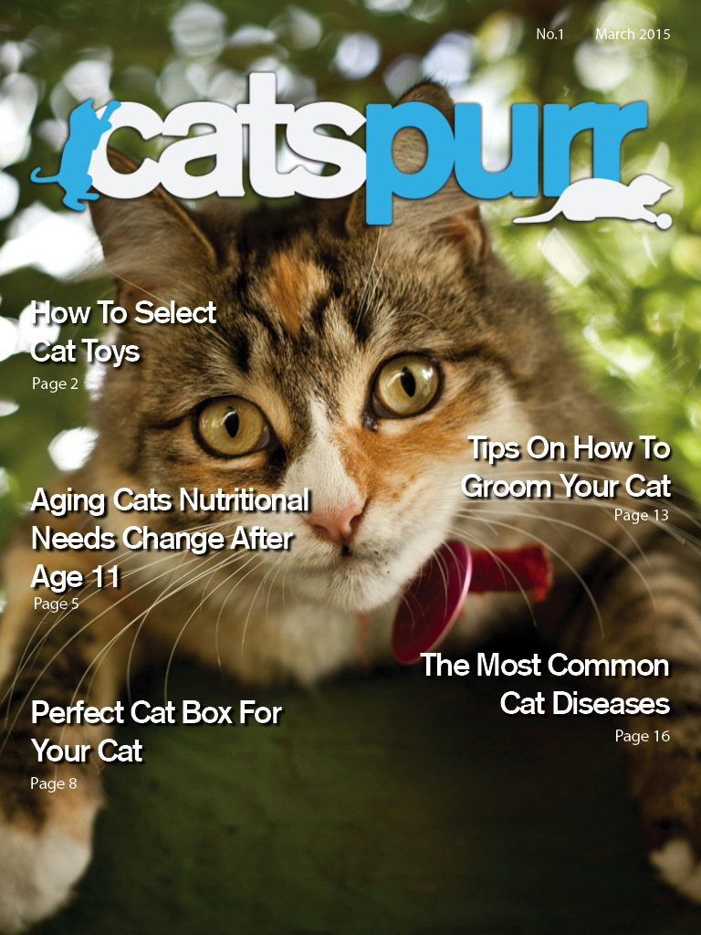 CatsPurr Magazine for Cat Lovers