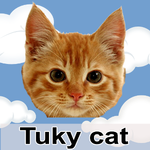 Flying Cat TUKKY Cat