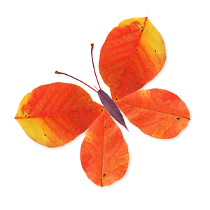 Labo Leaves – 18 Leaf Crafts & Activities for Kids 3+