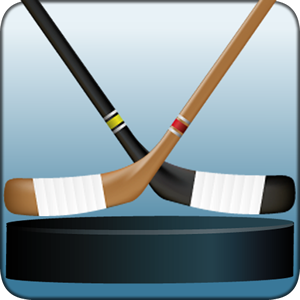 Play Macth Hockey