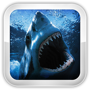 Shark Games