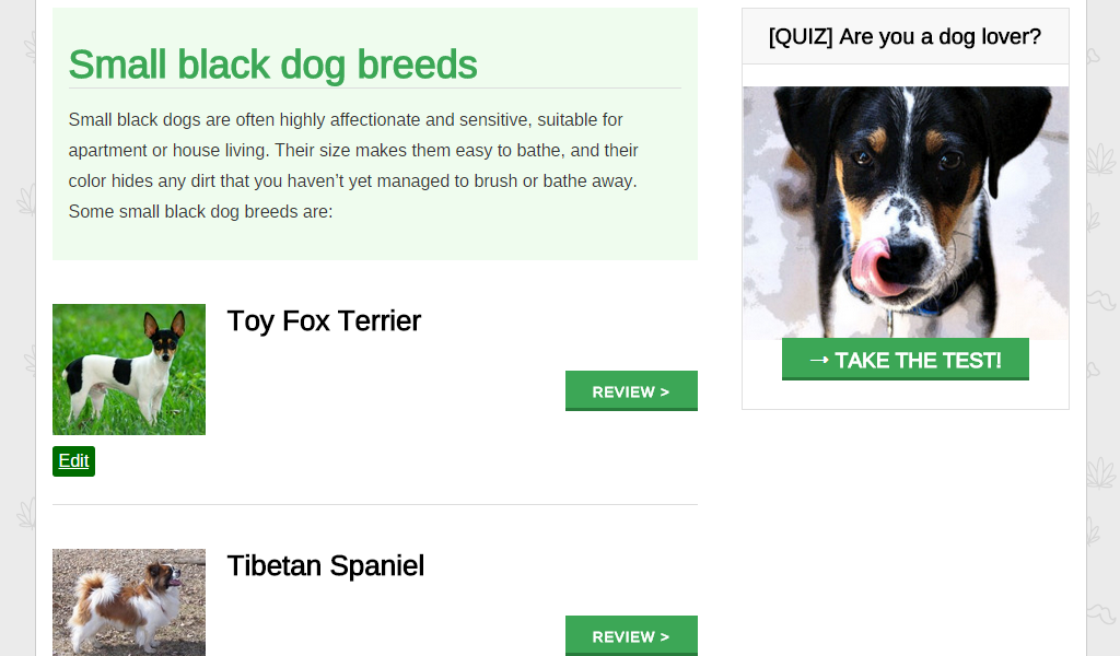 Mike has a small dog перевод. Породы собак приложение. Dogs Breeds Worksheets.