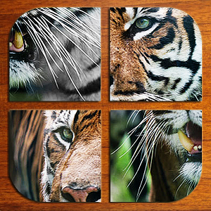 Swipe Puzzle Animals