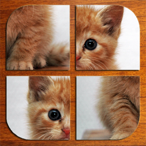 Swipe Puzzle: Fluffy Animals