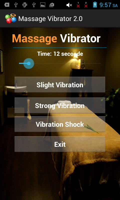 Vibrate Massager Body
