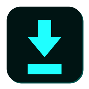 Video Downloader