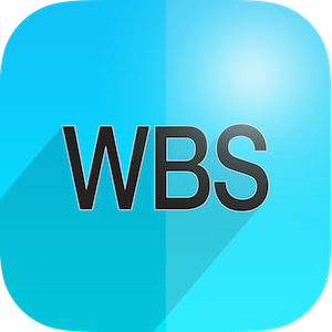 WBS – Work breakdown structure