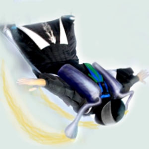 Wingsuit Simulator