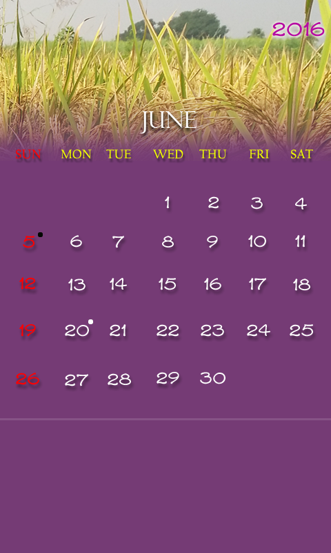 Telugu 2016 Calendar