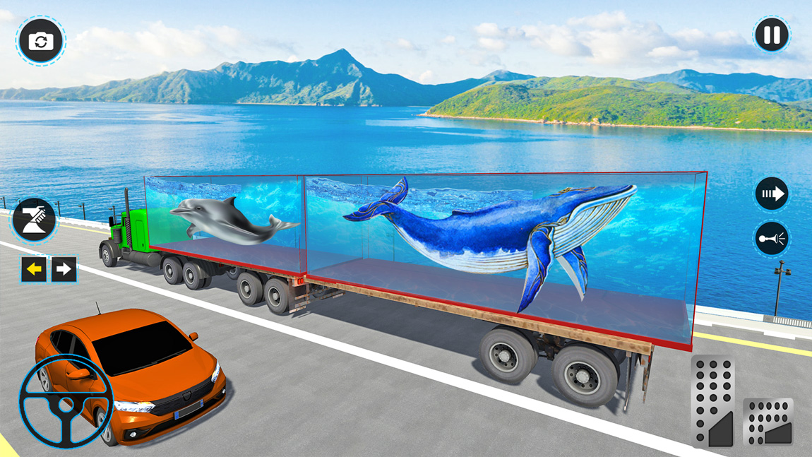Transport Truck Sea Animals