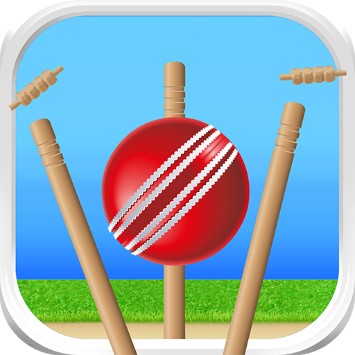 Defend the Wicket - Cricket