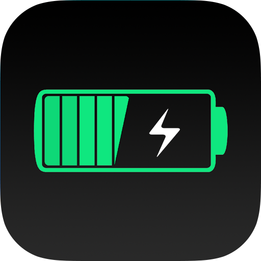 Fast battery Charger