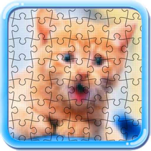 Puzzle cats and kitty