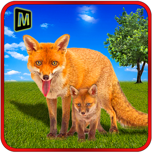 Life of a Wild Angry FOX