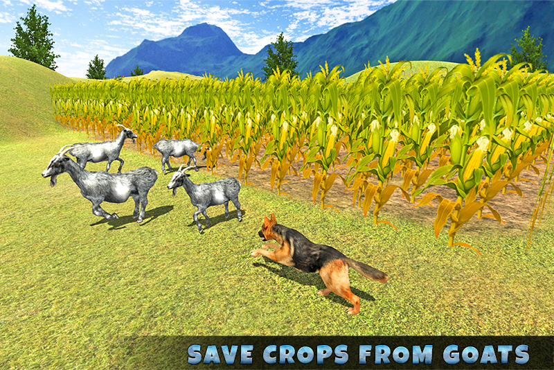 Real Shepherd Dog Simulator