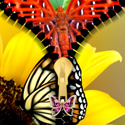 Butterfly Zipper Lock Screen