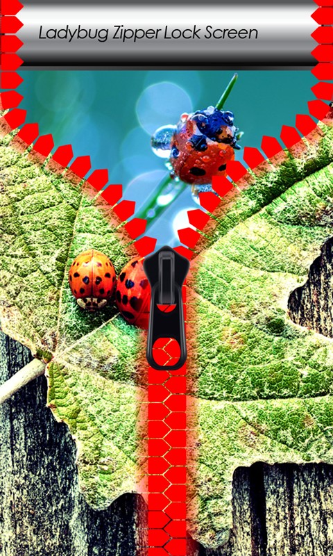 Ladybug Zipper Lock Screen
