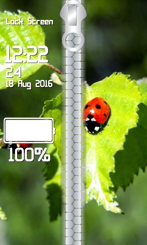 Ladybug Zipper Lock Screen