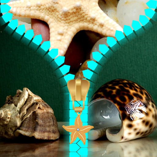 Seashells Zipper Lock Screen