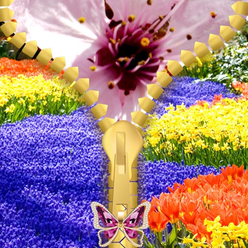 Spring Zipper Lock Screen