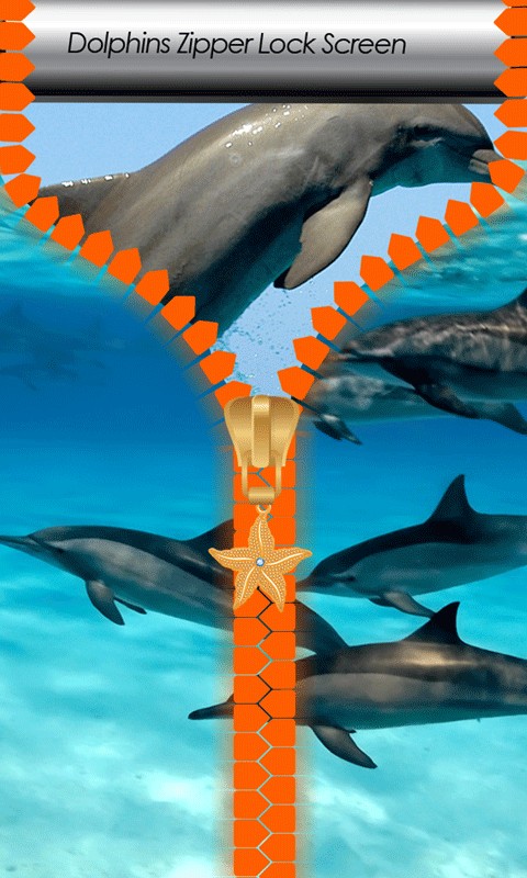Dolphins Zipper Lock Screen