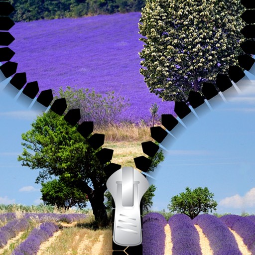 Lavender Zipper Lock Screen