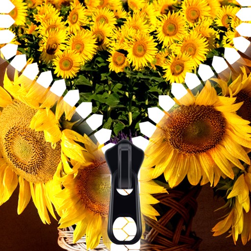 Sunflower Zipper Lock Screen