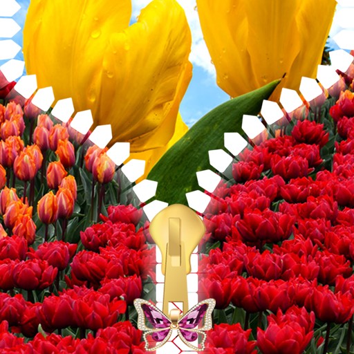 Tulips Zipper Lock Screen