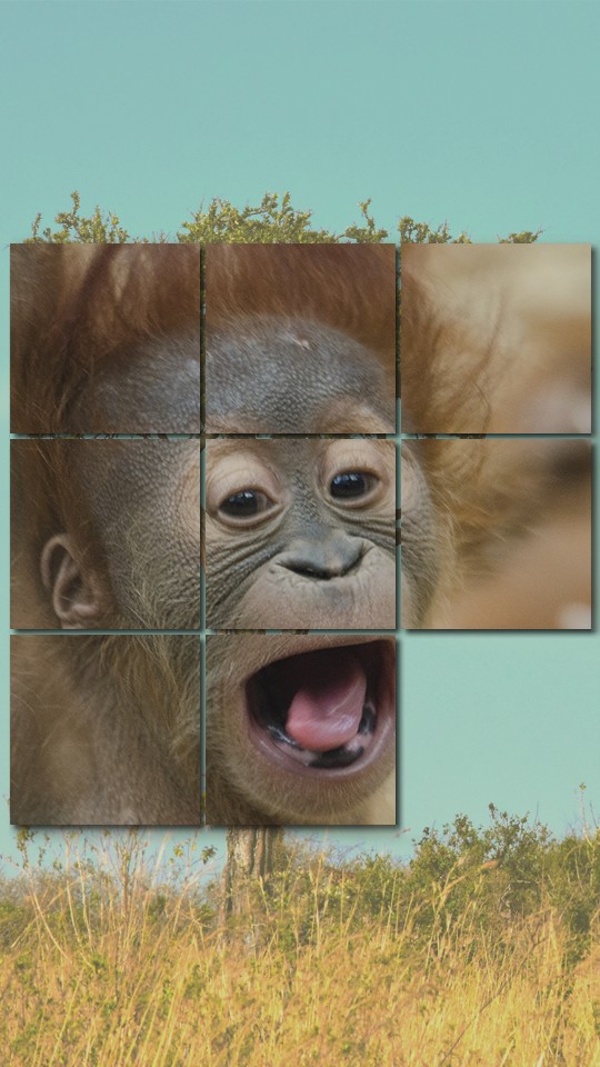 Animals Puzzle Zoo free