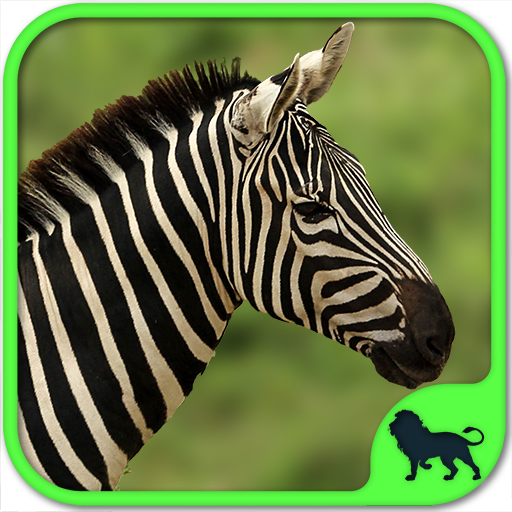 Wild animal puzzles for kids free: safari zoo games with real animals.