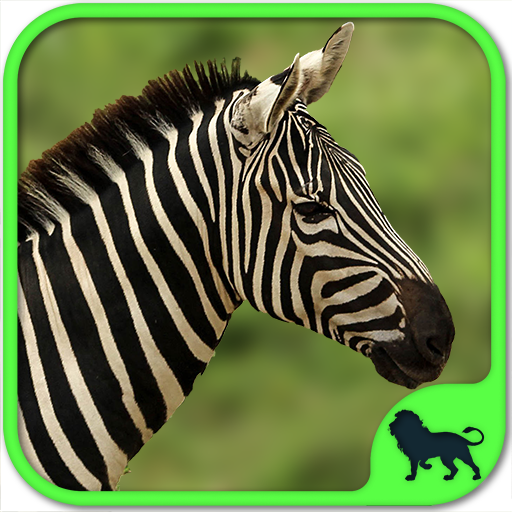 Animals Puzzle Zoo free