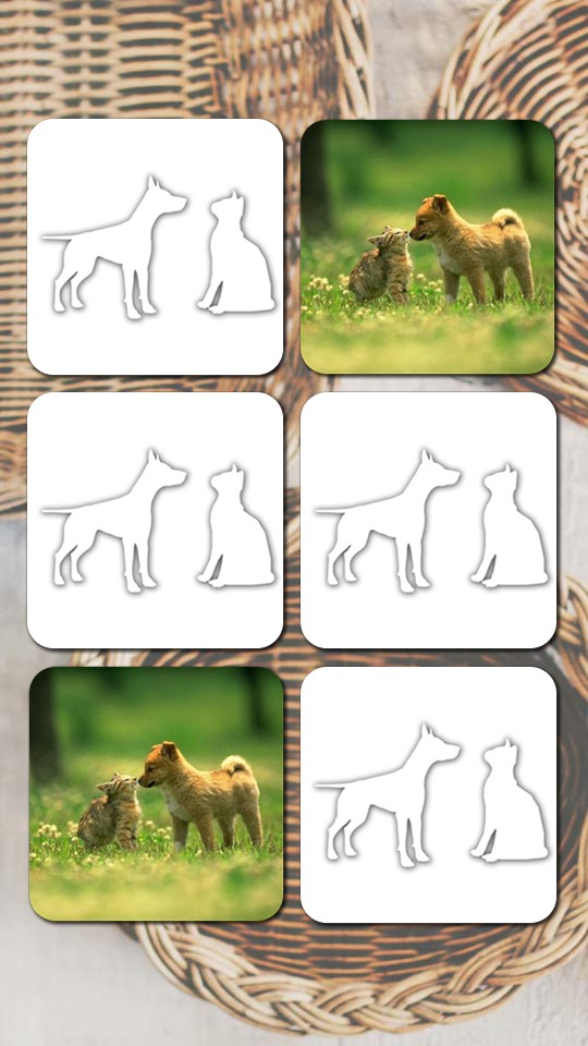 Cats And Dogs Games