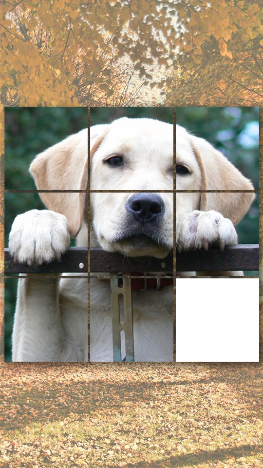 Cute doggy games:dog puzzles, matching pairs, dog pictures & dogs