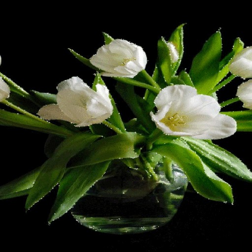 Green Leaf Flowers LWP