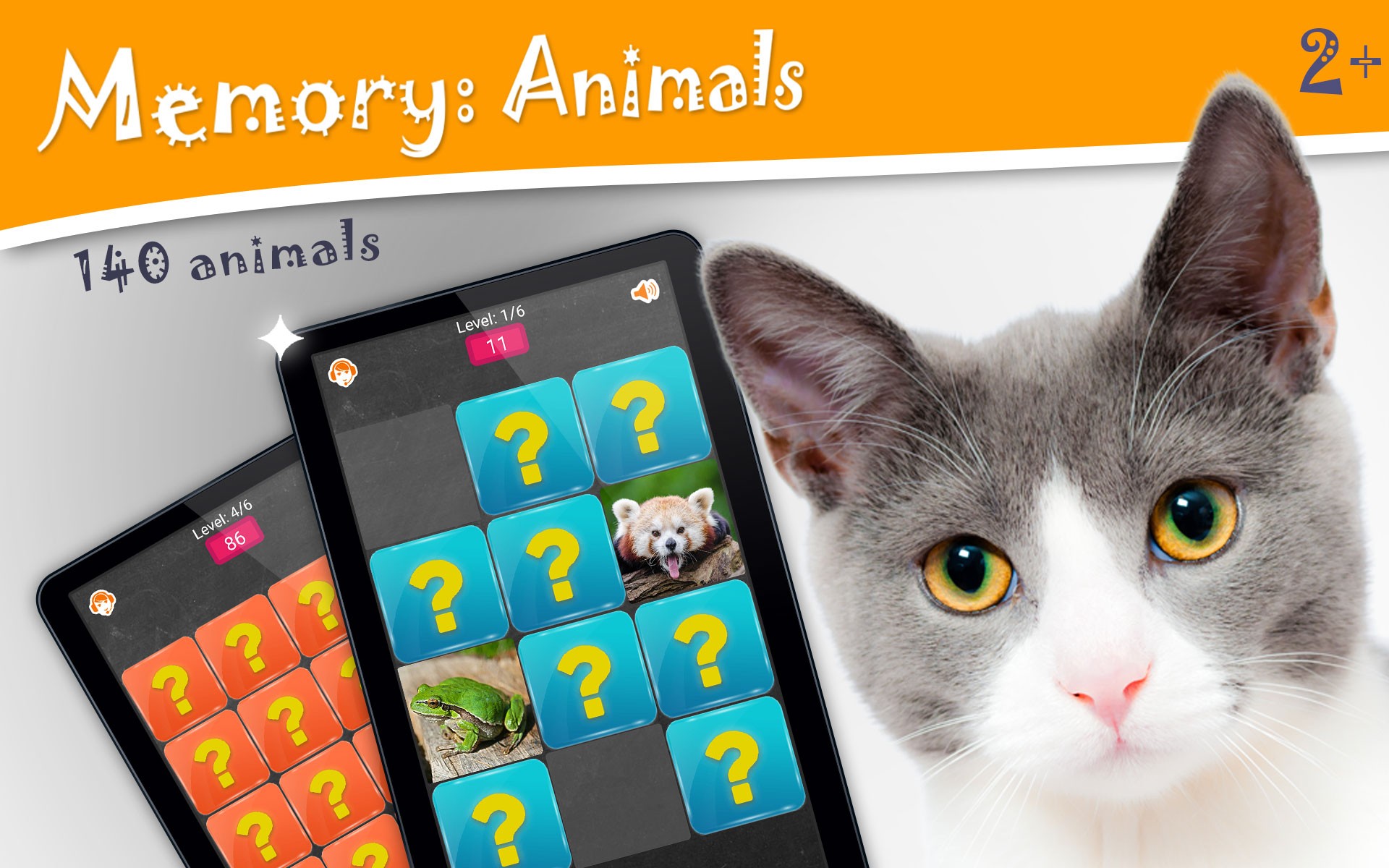Memory: Animals