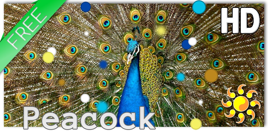 Birds Peacock LWP