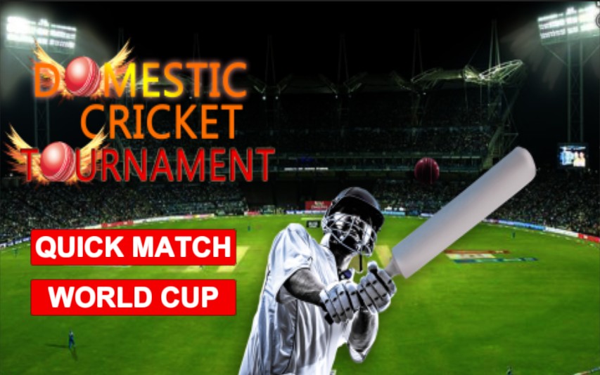 Domestic Cricket Tournament