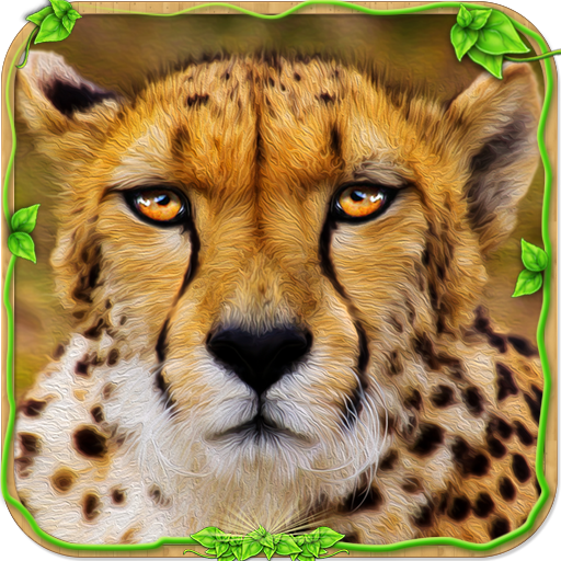 cheetah 3d simulator