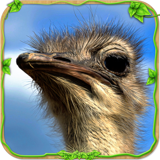 Furious Ostrich Simulator