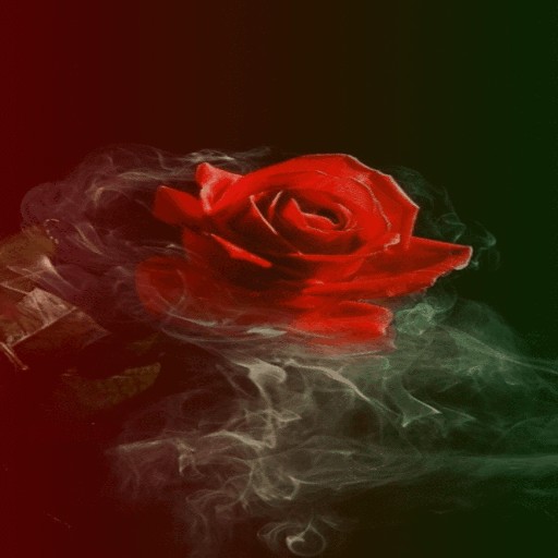 Smoky Red Rose LWP