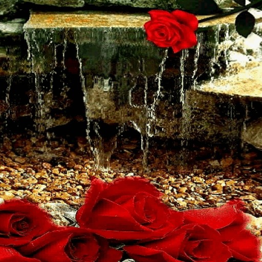 Rose Waterfall Live Wallpaper