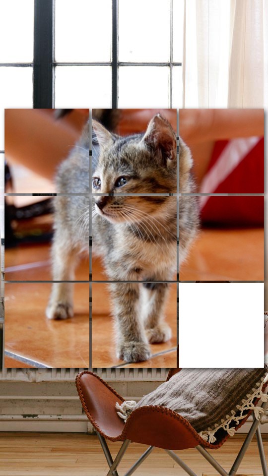 Kitty Cat Puzzles